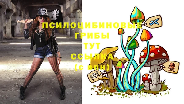 бутират Сосновка