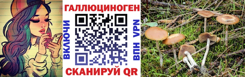 это состав  цена наркотик  Новое Девяткино  Галлюциногенные грибы MAGIC MUSHROOMS 